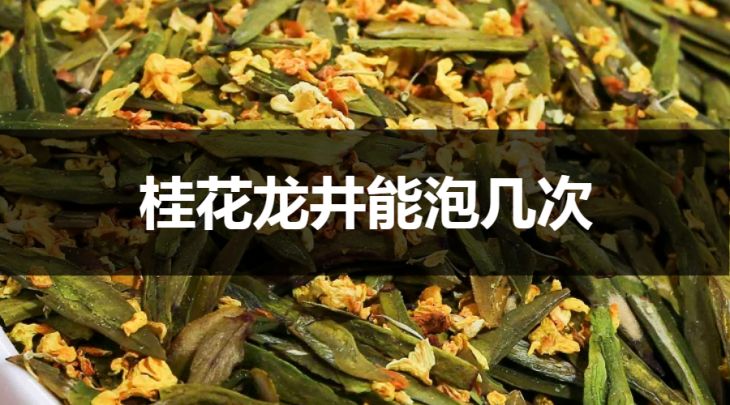 桂花龙井能冲泡几次？