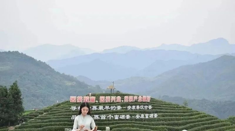 安康富硒茶2022年度十大亮点